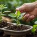 The Future of Mobile Payments: Trends to Watch