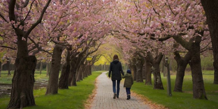 The Art of Mindful Walking The Art of Mindful Walking