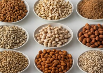 Best Plant-Based Proteins to Incorporate in Your Diet