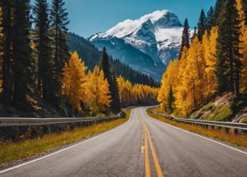 Best Road Trips to Take in 2024