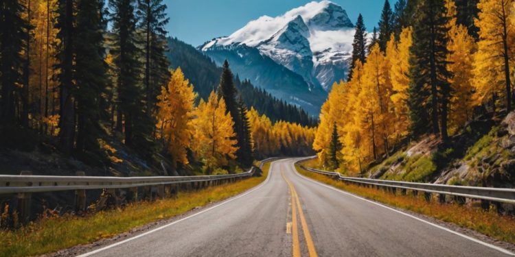 Best Road Trips to Take in 2024