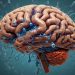 The Science of Nutrition: What You Need to Know